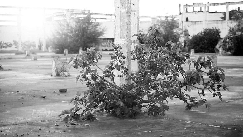 кадр из фильма ¿Hypnosis?