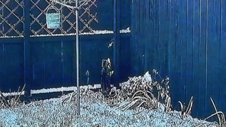 кадр из фильма Vague Void