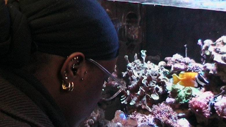 кадр из фильма Aquariums