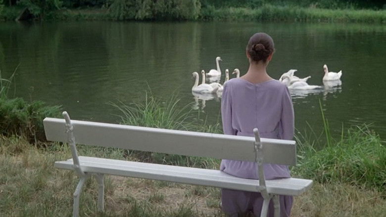 кадр из фильма Звезда