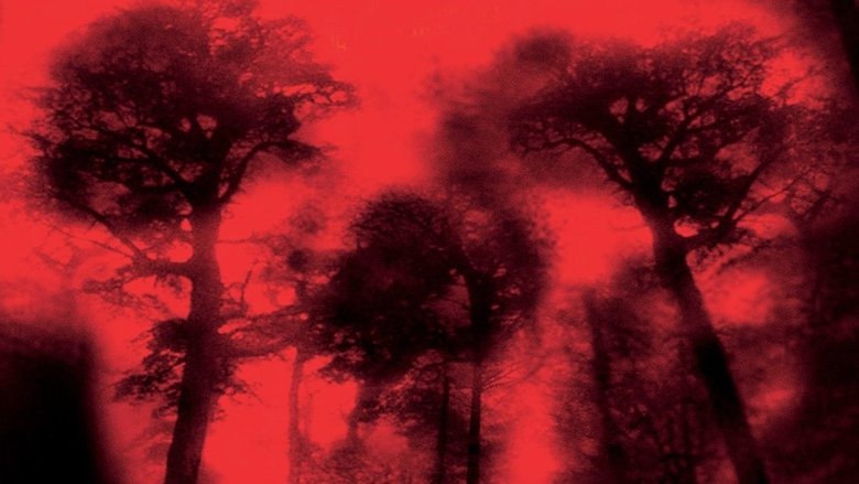 кадр из фильма Лихорадка