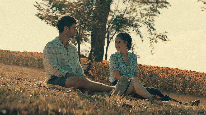 кадр из фильма Сад подсолнухов