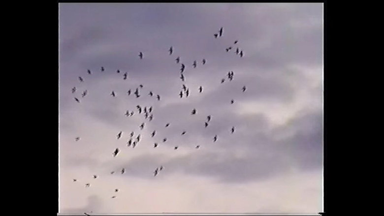 кадр из фильма Hey World!