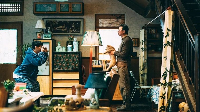 кадр из фильма Мой Хатико