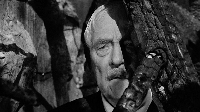 кадр из фильма Земляничная поляна