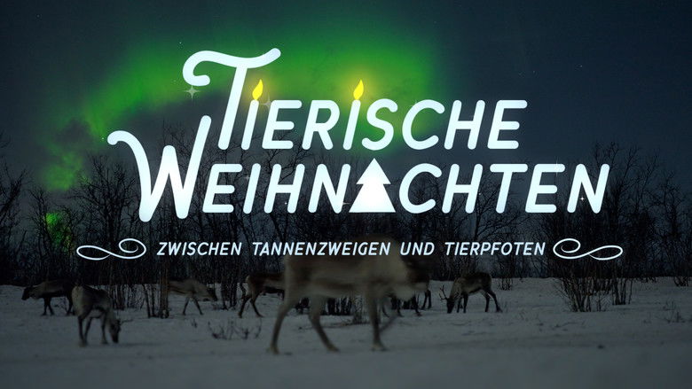 кадр из фильма Tierische Weihnachten - Zwischen Tannenzweigen und Tierpfoten