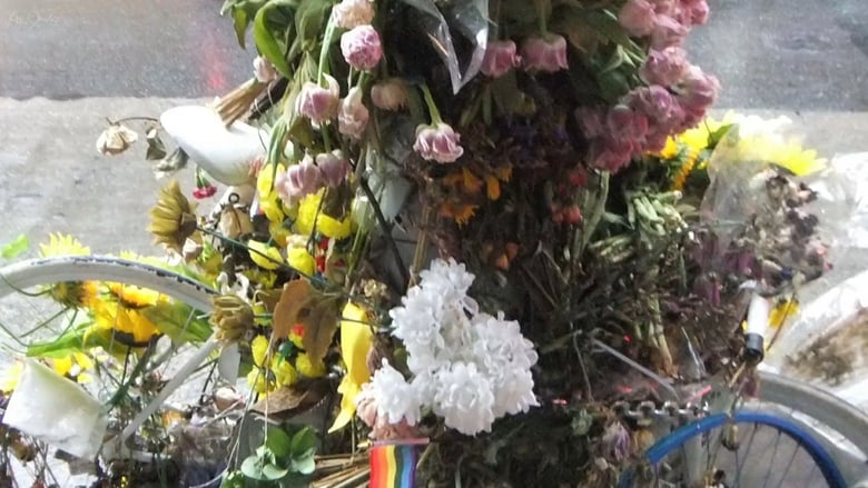 Flowers and Bike