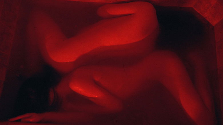 кадр из фильма Love You Forever