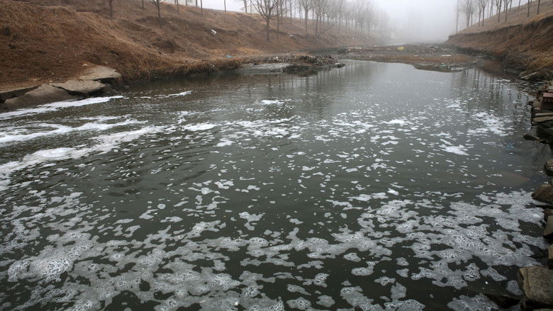 кадр из фильма 塑料王国