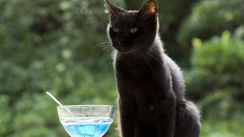 кадр из фильма ねこあつめの家