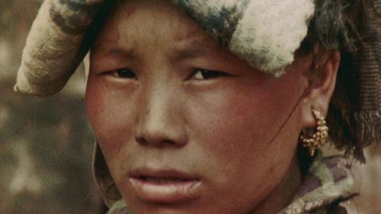 кадр из фильма Сикким