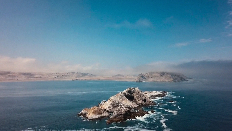 кадр из фильма My Mercury