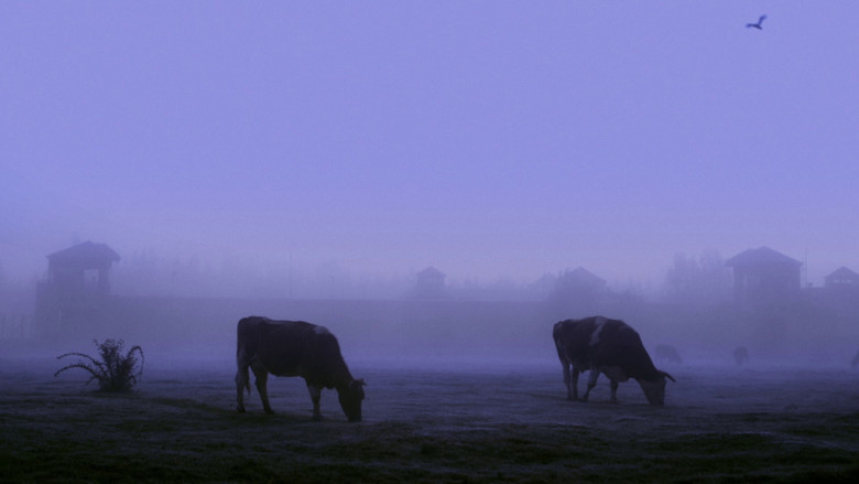 кадр из фильма Los sueños del castillo