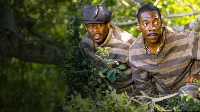 кадр из фильма Пожизненно!