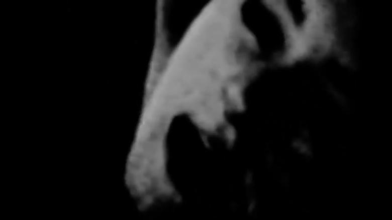 кадр из фильма l'acte de voir de ses propres yeux