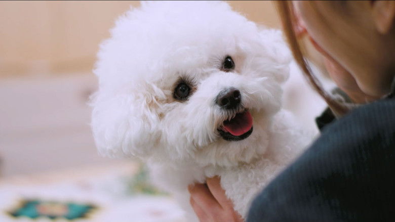 кадр из фильма 해피해피