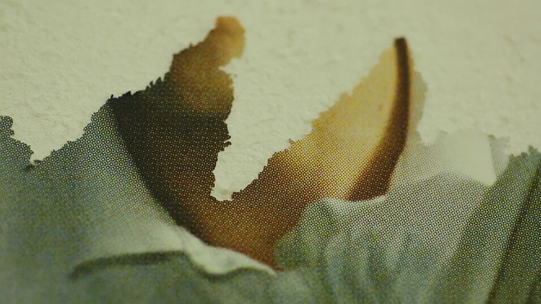 кадр из фильма The Separate System