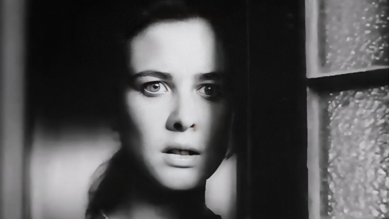 кадр из фильма Kitchen Sink