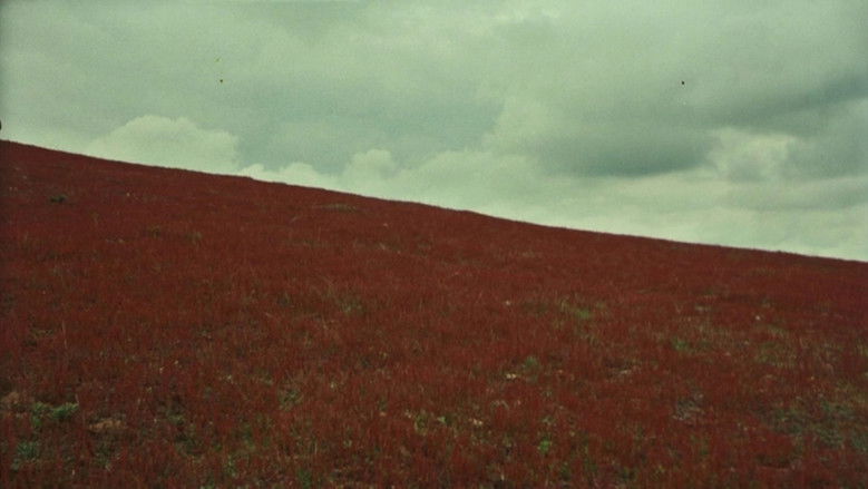 кадр из фильма Veredas