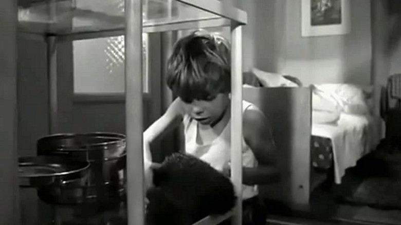 кадр из фильма Компаньерос