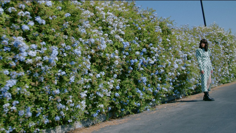 кадр из фильма Anxious.