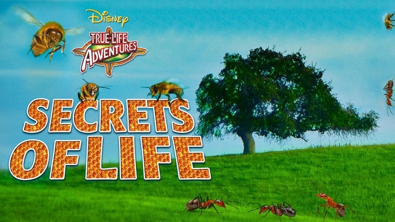 кадр из фильма Secrets of Life