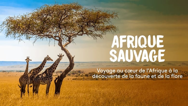 кадр из фильма Afrique Sauvage