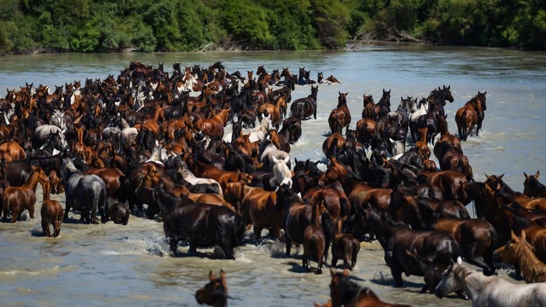 кадр из фильма Легенда