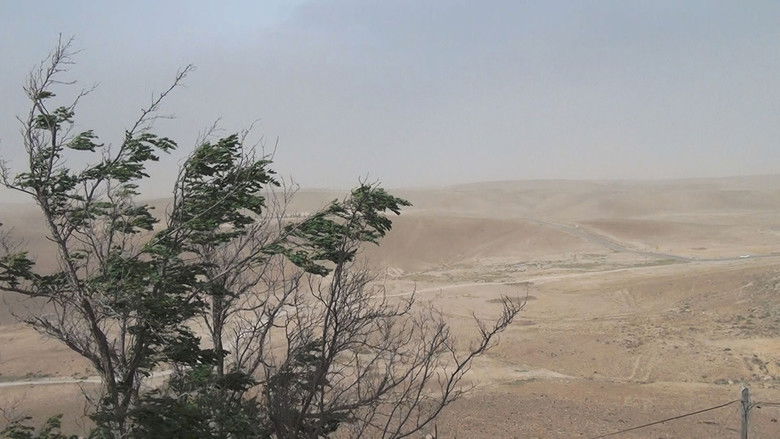 кадр из фильма No Home Movie