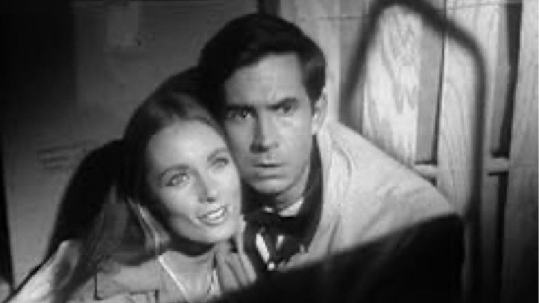 кадр из фильма Evening Primrose