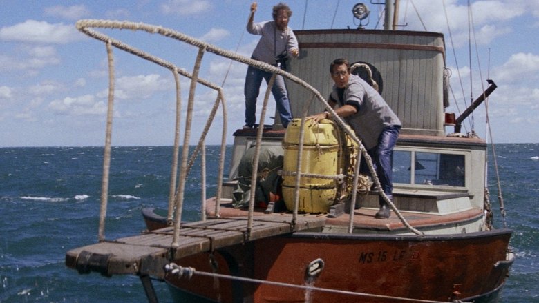 кадр из фильма Челюсти