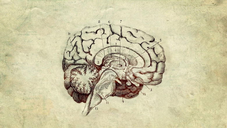 кадр из фильма Rush - Hemispheres (40th Anniversary Edition)