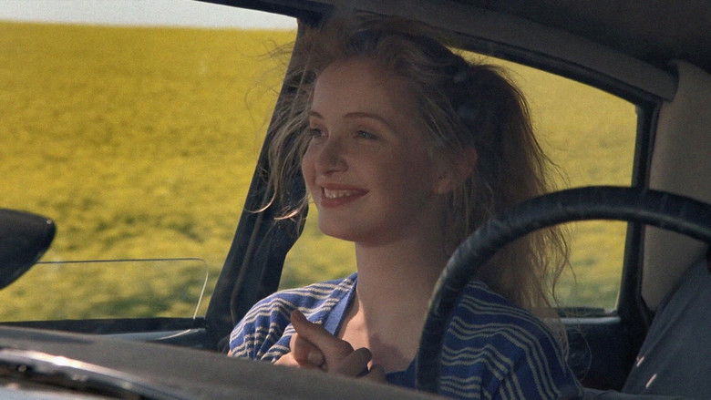 кадр из фильма Странник