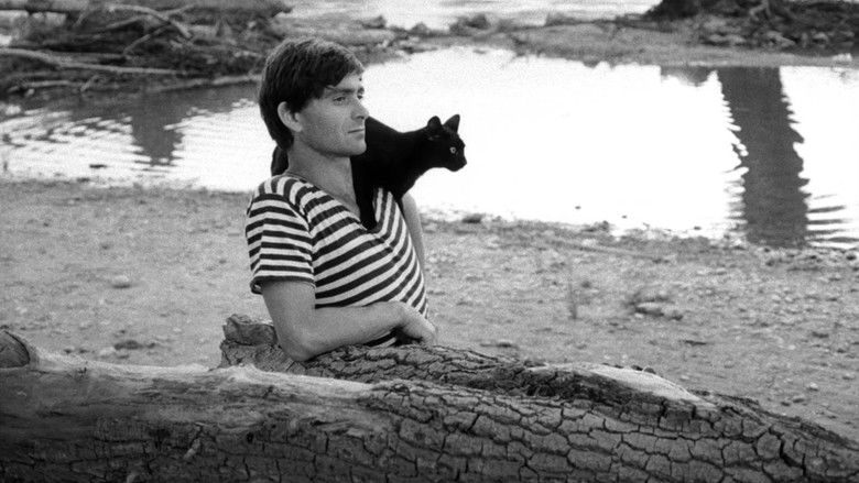 кадр из фильма Дева-чудотворица