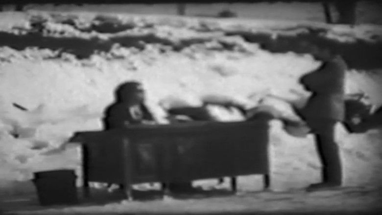 кадр из фильма Nicky's Film