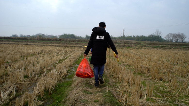 кадр из фильма 青春（归）