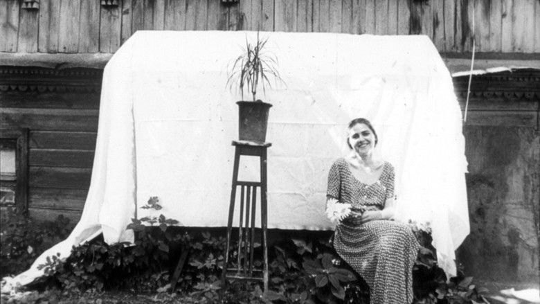 кадр из фильма Подорожні