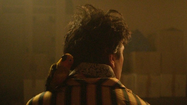 кадр из фильма Звездное небо надо мной