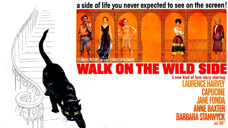 кадр из фильма Прогулка по беспутному кварталу