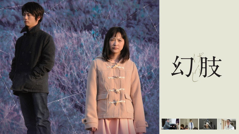 幻肢
