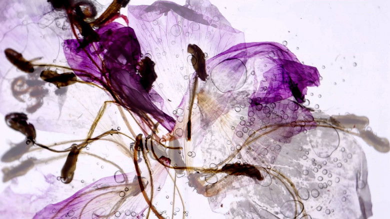 кадр из фильма Flow