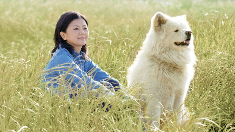 кадр из фильма わさお