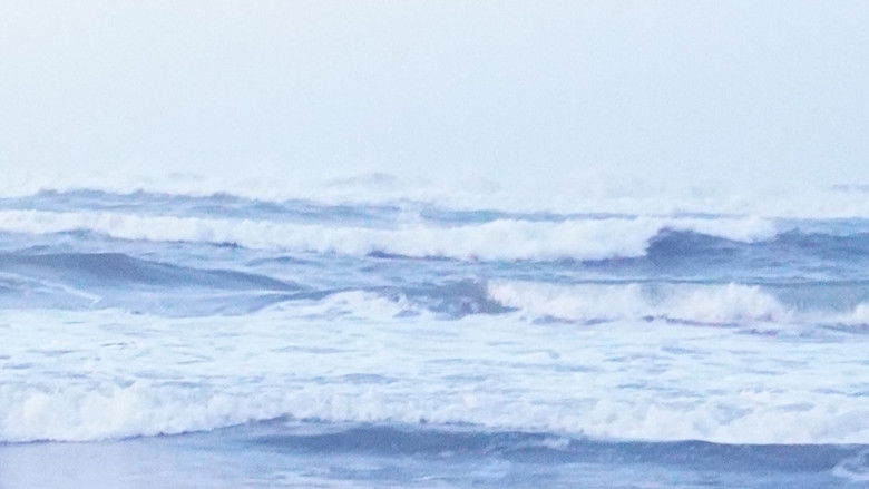 кадр из фильма A Letter from Kak Lafiif