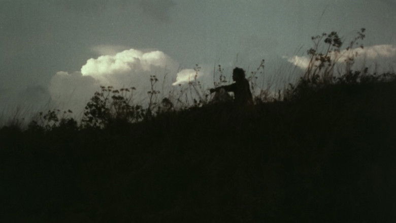 кадр из фильма പോക്കുവെയിൽ