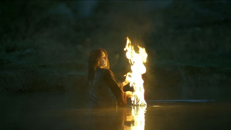 кадр из фильма И черепахи умеют летать