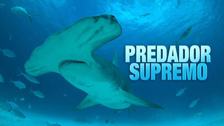кадр из фильма Mega Hammerhead: Ultimate Predator