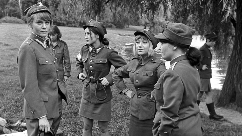 кадр из фильма Девичий заговор