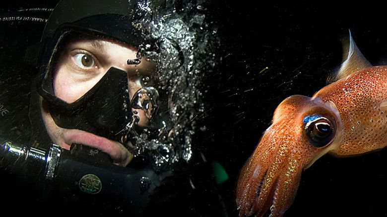 кадр из фильма Västerhavets Hemligheter