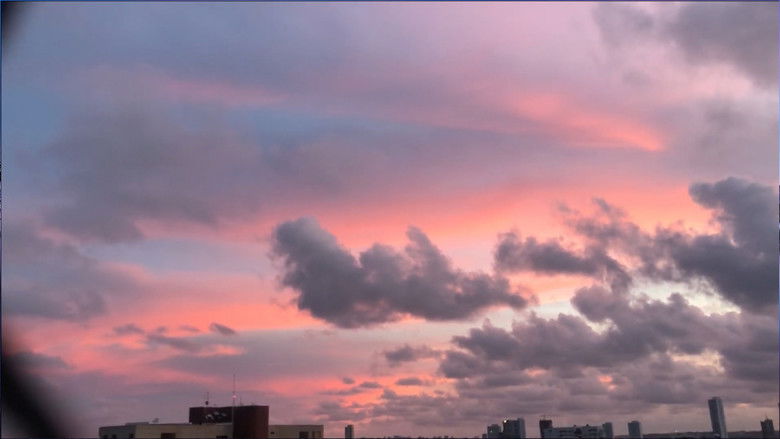 кадр из фильма Twenty Skies