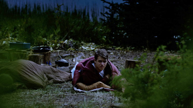 кадр из фильма Ночь гризли